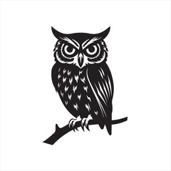 owl vector illustration
