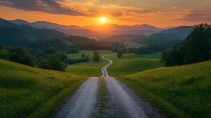 Top drone view of road in woods. Beautiful landscape with roadway in hills, pine trees, meadows, golden sunlight in fall. Travel
