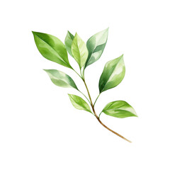 Obraz premium Green leaf branch watercolor painting is perfect for nature themed designs, botanical prints, eco friendly branding, and organic product packaging. Generative AI