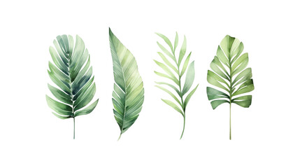 Fototapeta premium Green leaves with different shapes and sizes are ideal for nature themed designs, environmental concepts, or botany related projects. Great for eco friendly branding. Generative AI