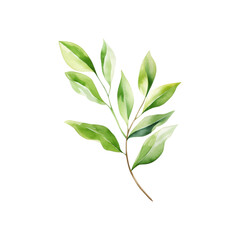 Fototapeta premium Green leaf branch watercolor painting is perfect for nature themed designs, botanical prints, eco friendly branding, and organic product packaging. Generative AI