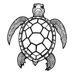 Obraz premium Turtle . Black and white line art. Logo design for use in graphics. T-shirt print, tattoo design.