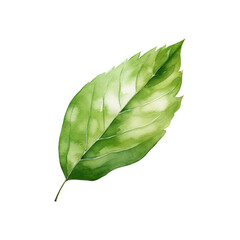 Obraz premium A green leaf is painted with watercolor and isolated on white. Suitable for nature themed designs, greeting cards, and botanical illustration. Generative AI