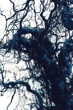 A Black Tree Reaching Upwards With Branch-like Abstract Shapes