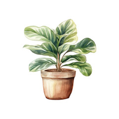 Fototapeta premium Houseplant with long green leaves in a brown pot. Perfect for home decor, gardening blogs, interior design websites, and lifestyle publications. Generative AI