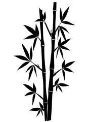 Black bamboo silhouette on a white background. bamboo stems, branches and leaves. Vector illustration.