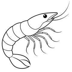 illustration of a fish