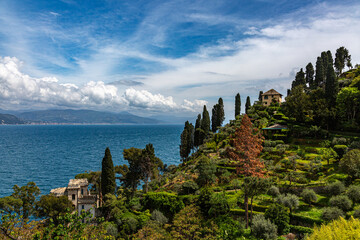 House, sky and trees in Portofino