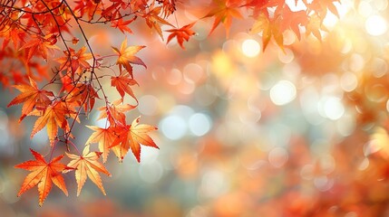 Simple Design in Autumn Background - a charming and serene visual. The simple yet elegant design against the backdrop of autumn creates a captivating and peaceful scene.