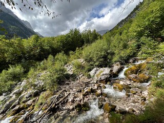 The upper part of the Soča river, Trenta (Triglav National Park, Slovenia) - Der obere Teil des Flusses Soca, Trenta (Triglav-Nationalpark, Slowenien) - Zgornji del reke Soče, Trenta (Slovenija)