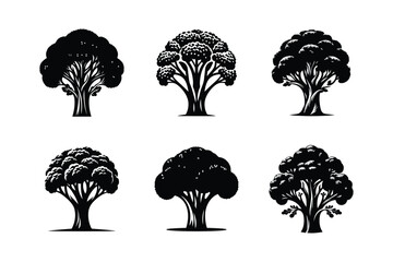 Broccoli set icon silhouette with white background vector illustration design