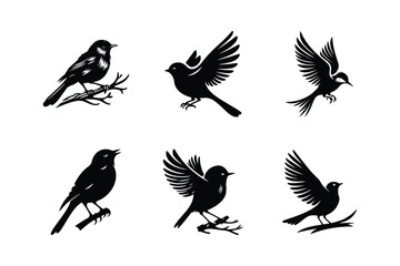 Obraz premium Set of bird silhouettes. Vector elements white background.