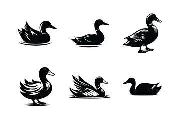 Duck silhouettes icon set. Duck vector illustration white background