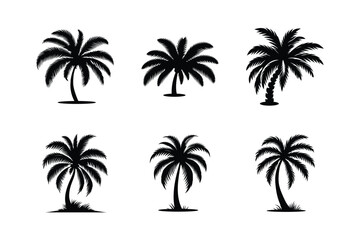 Set of palm tree icon silhouette vector with creative element. Palm tree icon set white background