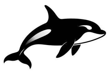 Killer Whale Silhouette vector illustration