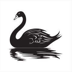 black swan vector