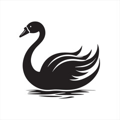 black swan on white,swan, bird, animal, vector, illustration, water, silhouette, symbol, love, lake, nature, art, duck, birds, cartoon, drawing, feather, black, beak, icon, design, wing, swimming, swa
