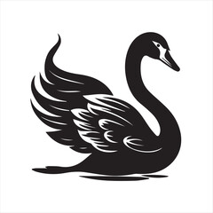 black swan on white,swan, bird, animal, vector, illustration, water, silhouette, symbol, love, lake, nature, art, duck, birds, cartoon, drawing, feather, black, beak, icon, design, wing, swimming, swa