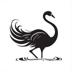black swan on white,swan, bird, animal, vector, illustration, water, silhouette, symbol, love, lake, nature, art, duck, birds, cartoon, drawing, feather, black, beak, icon, design, wing, swimming, swa