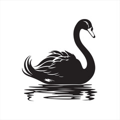 black swan on white,swan, bird, animal, vector, illustration, water, silhouette, symbol, love, lake, nature, art, duck, birds, cartoon, drawing, feather, black, beak, icon, design, wing, swimming, swa