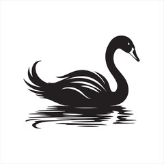 black swan on white,swan, bird, animal, vector, illustration, water, silhouette, symbol, love, lake, nature, art, duck, birds, cartoon, drawing, feather, black, beak, icon, design, wing, swimming, swa