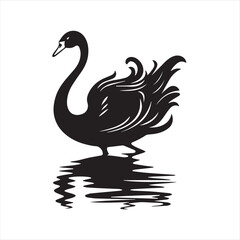 black swan on white,swan, bird, animal, vector, illustration, water, silhouette, symbol, love, lake, nature, art, duck, birds, cartoon, drawing, feather, black, beak, icon, design, wing, swimming, swa