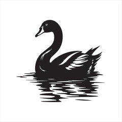 black swan on white,swan, bird, animal, vector, illustration, water, silhouette, symbol, love, lake, nature, art, duck, birds, cartoon, drawing, feather, black, beak, icon, design, wing, swimming, swa