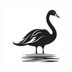 black swan on white,swan, bird, animal, vector, illustration, water, silhouette, symbol, love, lake, nature, art, duck, birds, cartoon, drawing, feather, black, beak, icon, design, wing, swimming, swa