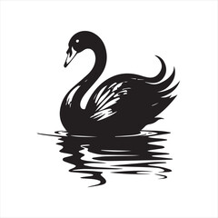 black swan on white,swan, bird, animal, vector, illustration, water, silhouette, symbol, love, lake, nature, art, duck, birds, cartoon, drawing, feather, black, beak, icon, design, wing, swimming, swa