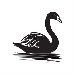 black swan on white,swan, bird, animal, vector, illustration, water, silhouette, symbol, love, lake, nature, art, duck, birds, cartoon, drawing, feather, black, beak, icon, design, wing, swimming, swa