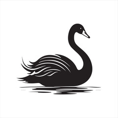 black swan on white,swan, bird, animal, vector, illustration, water, silhouette, symbol, love, lake, nature, art, duck, birds, cartoon, drawing, feather, black, beak, icon, design, wing, swimming, swa