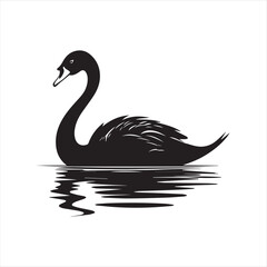 black swan on white,swan, bird, animal, vector, illustration, water, silhouette, symbol, love, lake, nature, art, duck, birds, cartoon, drawing, feather, black, beak, icon, design, wing, swimming, swa