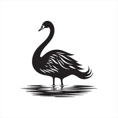 black swan on white,swan, bird, animal, vector, illustration, water, silhouette, symbol, love, lake, nature, art, duck, birds, cartoon, drawing, feather, black, beak, icon, design, wing, swimming, swa