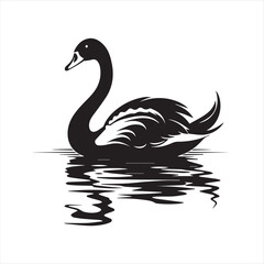 black swan on white,swan, bird, animal, vector, illustration, water, silhouette, symbol, love, lake, nature, art, duck, birds, cartoon, drawing, feather, black, beak, icon, design, wing, swimming, swa