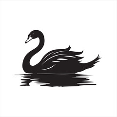 black swan on white,swan, bird, animal, vector, illustration, water, silhouette, symbol, love, lake, nature, art, duck, birds, cartoon, drawing, feather, black, beak, icon, design, wing, swimming, swa