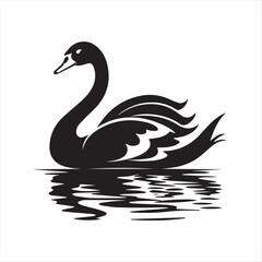 black swan on white,swan, bird, animal, vector, illustration, water, silhouette, symbol, love, lake, nature, art, duck, birds, cartoon, drawing, feather, black, beak, icon, design, wing, swimming, swa