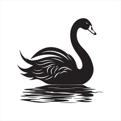 black swan on white,swan, bird, animal, vector, illustration, water, silhouette, symbol, love, lake, nature, art, duck, birds, cartoon, drawing, feather, black, beak, icon, design, wing, swimming, swa