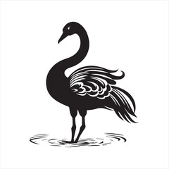 black swan on white,swan, bird, animal, vector, illustration, water, silhouette, symbol, love, lake, nature, art, duck, birds, cartoon, drawing, feather, black, beak, icon, design, wing, swimming, swa