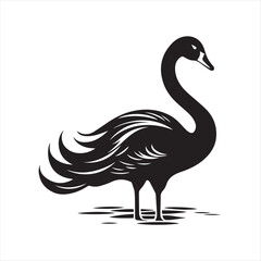 black swan on white,swan, bird, animal, vector, illustration, water, silhouette, symbol, love, lake, nature, art, duck, birds, cartoon, drawing, feather, black, beak, icon, design, wing, swimming, swa