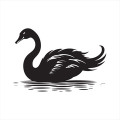 black swan on white,swan, bird, animal, vector, illustration, water, silhouette, symbol, love, lake, nature, art, duck, birds, cartoon, drawing, feather, black, beak, icon, design, wing, swimming, swa