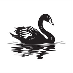 black swan on white,swan, bird, animal, vector, illustration, water, silhouette, symbol, love, lake, nature, art, duck, birds, cartoon, drawing, feather, black, beak, icon, design, wing, swimming, swa