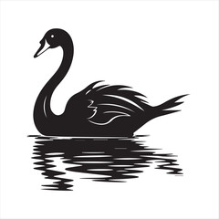 black swan on white,swan, bird, animal, vector, illustration, water, silhouette, symbol, love, lake, nature, art, duck, birds, cartoon, drawing, feather, black, beak, icon, design, wing, swimming, swa