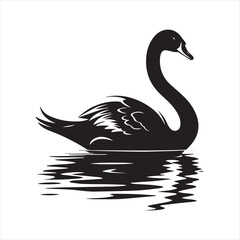 black swan on white,swan, bird, animal, vector, illustration, water, silhouette, symbol, love, lake, nature, art, duck, birds, cartoon, drawing, feather, black, beak, icon, design, wing, swimming, swa