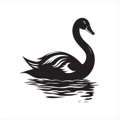 black swan on white,swan, bird, animal, vector, illustration, water, silhouette, symbol, love, lake, nature, art, duck, birds, cartoon, drawing, feather, black, beak, icon, design, wing, swimming, swa