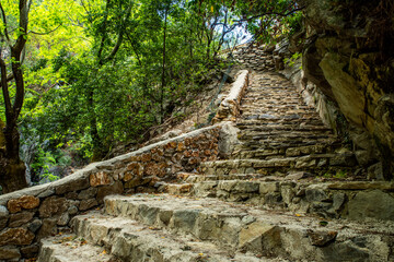 stone steps in the forest