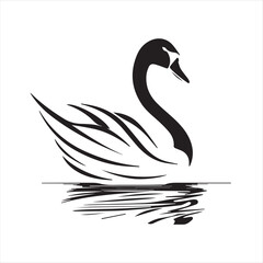 Fototapeta premium black swan on white background