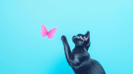 Obraz premium Cute black cat playing with a pink butterfly on a light blue background, showcasing a playful and whimsical scene.