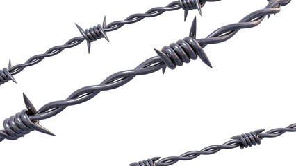 barbed wire isolated