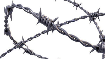 barbed wire fence
