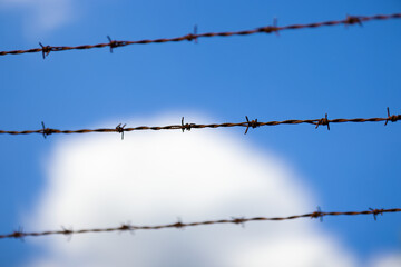 Barbed wire fence.